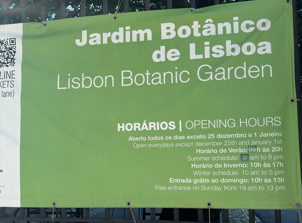 Last Day in&nbsp;Lisbon