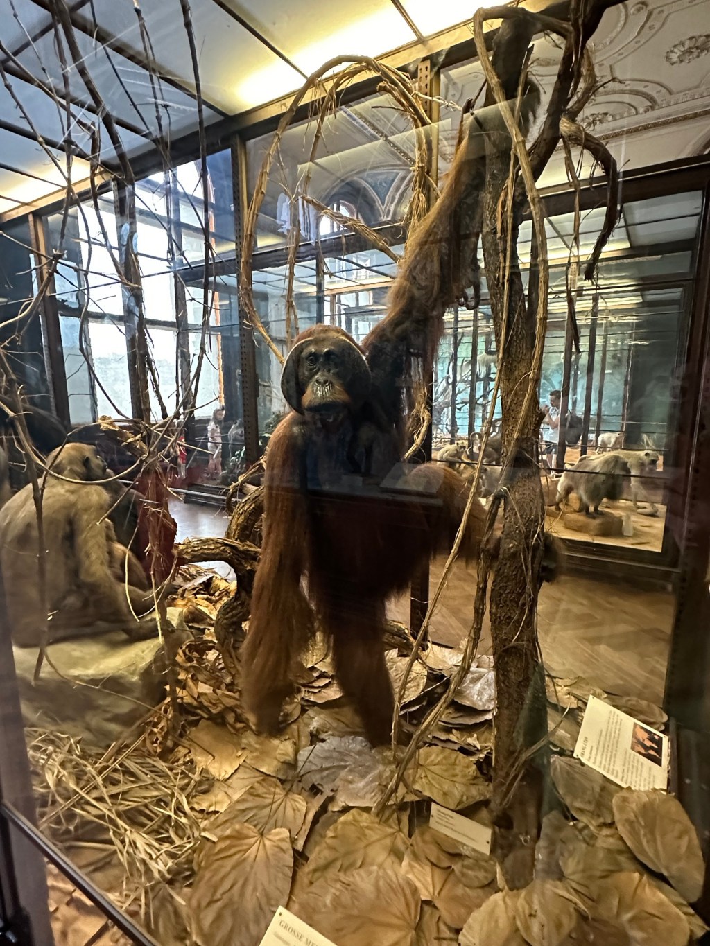 Natural History Museum