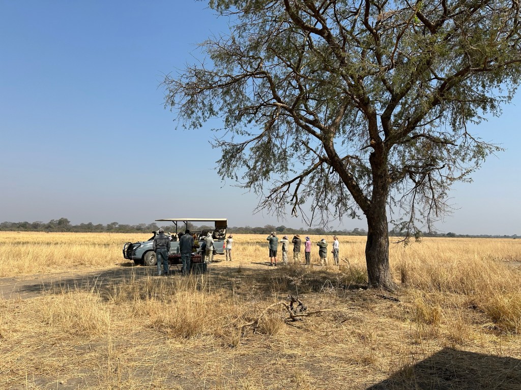 This is a&nbsp;Safari