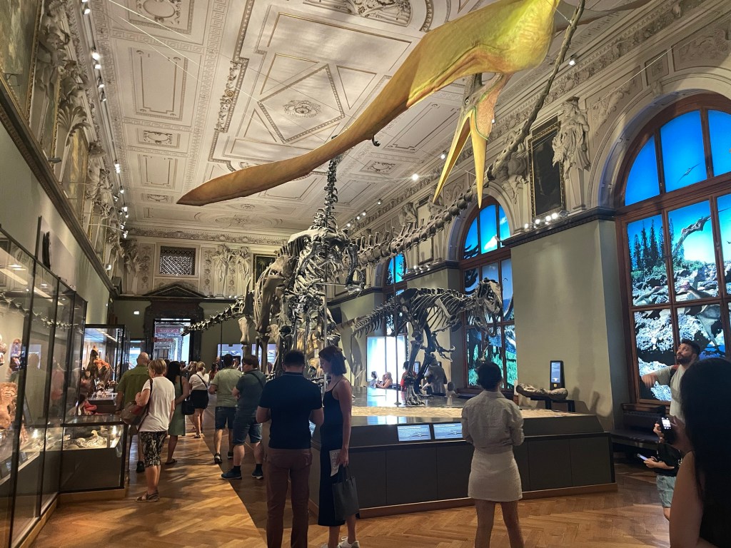 More Natural History